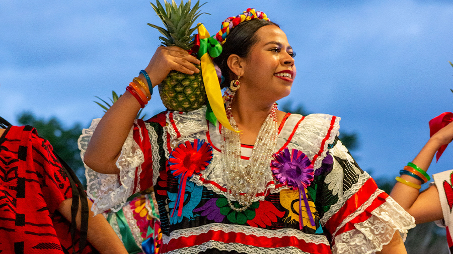 Traje de oaxaca flor de piña sale