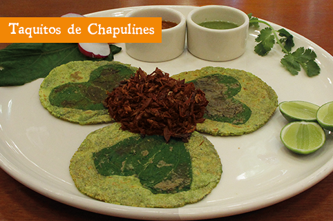 menu-taquitos-de-chapulines-restaurante-la-reina-oaxaca-iztapalapa-cdmx